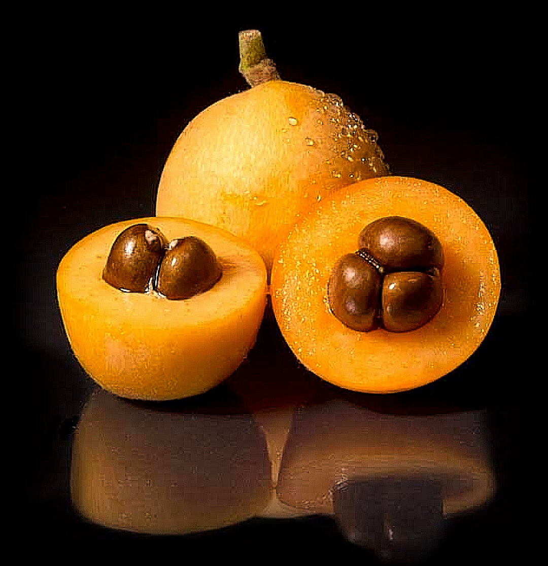 Fruits de nèfles - Maison Blanc de Nèfles